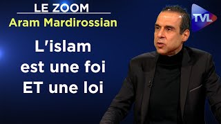 Une alliance oligarchieislam contre lEurope  Le Zoom  Aram Mardirossian  TVL [upl. by Ylrae]