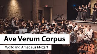 Ave Verum Corpus [upl. by Einomrah]