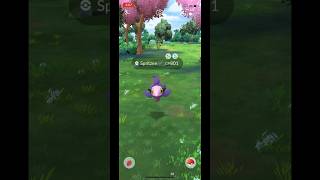 Catching shiny spritzee in the wild pokemongo [upl. by Phia933]