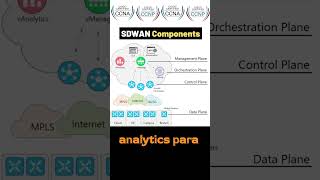 Componentes esenciales de SDWAN y su arquitectura explicada sdwan ccna cisco [upl. by Ymaj]