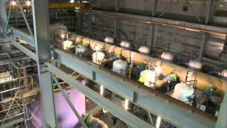 Fleur Australe Episode 15 VGB  The Wonthaggi plant in Australia [upl. by Davenport]