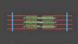 How a muscle contraction is signalled  Animation [upl. by Kyd]