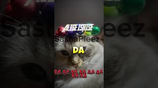 Speed app ALISE IRISE unsane pls like🔥 [upl. by Arleta]