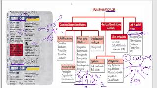 Amoxicillin  Azithromycin  Ciprofloxacin  Cefpodoxime  Moxifloxacin  Cotrimazole  Mechanism [upl. by Blen]