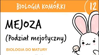 Cytologia 12  Mejoza podział mejotyczny  biologia rozszerzona przygotowanie do matury z biologii [upl. by Enaled99]