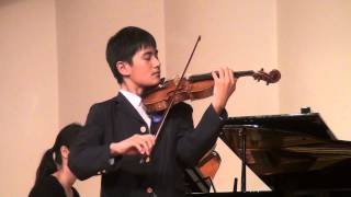 J Haydn Violin Concerto in G major Movement 1 [upl. by Nonnahc]