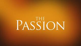 The Passion of the Christ Relax Meditation Music [upl. by Konstanze506]