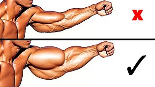 Effective Biceps Triceps and Forearms Workout to Build Thick Wider Arms [upl. by Cirri]