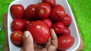 টমেটো সস তৈরির পারফেক্ট রেসিপি। Tomato sauce recipe [upl. by Enicar]