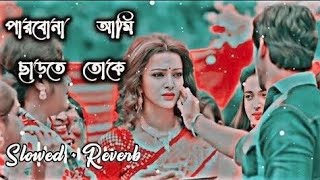 পারবো না আমি ছাড়তে তোকে  Slowed  Reverb  Bonny  Koushani  Arijit Singh  Bangla Lofi Song [upl. by Fregger]