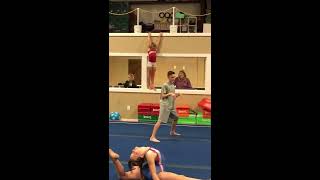 Tall Timbers Gymnastics does Mannequin Challenge [upl. by Klump]