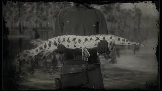 RDR2  Fishing  Legendary Longnose Gar [upl. by Fedirko]