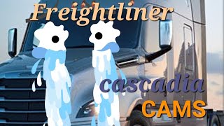 Freightliner Cascadia Dash Camera amp Side Mirror Cams new body [upl. by Doss]