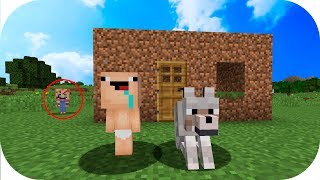 BEBE NOOB PRIMERA VES JUGANDO MINECRAFT 3 [upl. by Mccahill313]