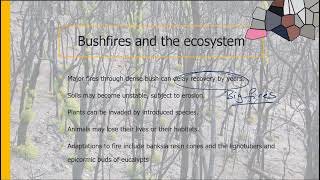 H14 Climatic Phenomena And Ecosystems Bushfires [upl. by Gertruda]