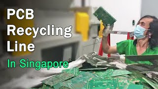 PCB Recycling Line in Singapore  Waste Circuit Boards Processing Plant [upl. by Gaile]