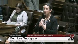 Rep Snodgrass on AB 975 [upl. by Samala632]