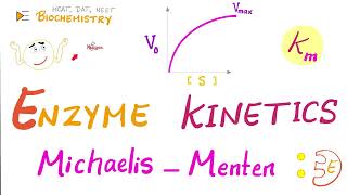 MichaelisMenten Equation amp Enzyme Kinetics  Biochemistry Series [upl. by Mabel603]