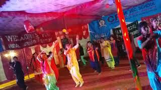 C R Sr sec SCHOOL MAJRA D Annual day celebration 10th Feb 2019 Dhol have to da [upl. by Anaujat]