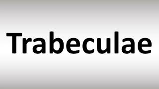 How to Pronounce Trabeculae [upl. by Aramahs]