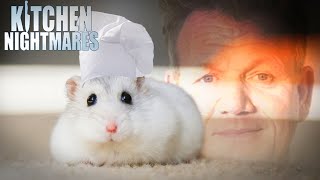 these chefs need a rat under their hat  Kitchen Nightmares [upl. by Anhej]