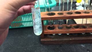 Cation Test Zinc Ions [upl. by Icaj]