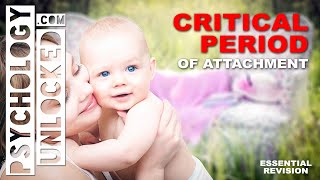 Bowlbys Critical Period of Attachment  a rule for secure attachment  Developmental Psychology [upl. by Billi469]