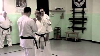 XXI Haru Gasshuku 2013 Shihan Kazuyuki Hasegawa Daihyo Sekai So kyokushin [upl. by Aelrac]