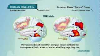 Science Bulletins Bilingual Brain Switch Found [upl. by Amarillas]