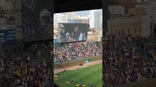 Northwestern football entrance and Iowa football entrance at Wrigley from 11423 [upl. by Zina]