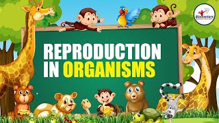 Reproduction in Organisms I Lecture 4 l Biology l NEET [upl. by Aivatnuahs]