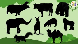 Herbivore Animals Puzzle  Learn Herbivore Animal Names and Animal Videos for Kids [upl. by Sigismondo554]