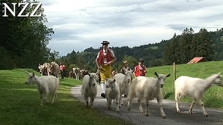 Planet Appenzell mit Simon Enzler  Dokumentation von NZZ Format 2006 [upl. by Goodwin769]