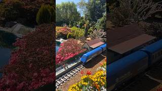 Intercity 125 aus intercity125 australia bgmi viralvideo [upl. by Sinegra667]