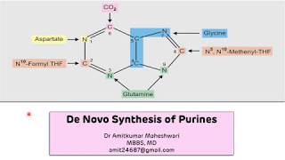 Purine Biosynthesis De Novo  Biochemistry  Molecular Biology [upl. by Piscatelli327]