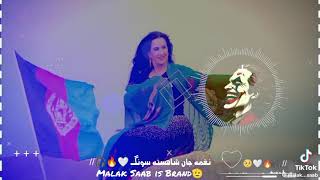 naghma new song 2024 watan za pashtanayam bey nage na kablawam laly ya zarakkhan07 [upl. by Ailido]