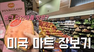 미국 마트 26만원어치 장보기 vlog 🇺🇸  동네 Safeway털기  미국 물가 [upl. by Ailima936]