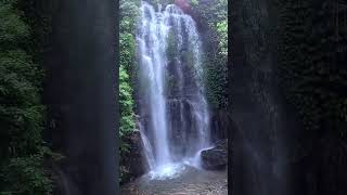 Waterfalls of Munduk  BALI bali waterfall nature indonesia [upl. by Wolff]