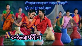 Nilakoi Akaxot Original song Aryaneel  নীলাকৈ আকাশত  আৰ্যনীল  AryaneelBorah assamesesong [upl. by Nottap]