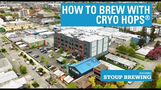 How to Brew with Cryo Hops® [upl. by Annoed674]