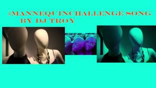 Mannequin Challenge SONG BY DJ Troy [upl. by Daus218]