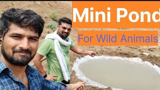 water pool for wild animals part  2 savewater wildanimals farminglife farmpond [upl. by Ennalorac56]