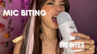 ASMR MIC EATING BIG BITE LITTLE BITES SLOW AND FAST ✨✨ [upl. by Sally599]