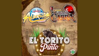 EL TORITO PINTO feat Katana y Banda Cabra [upl. by Aryahay]