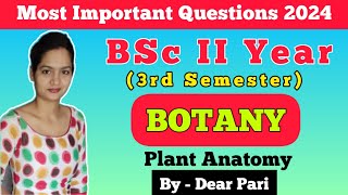 BSc II Year 3rd Semester Botany Paper  2 Important Questions 2024  Plant Anatomy DearPari [upl. by Namyac]