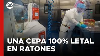 CHINA  La alarmante cepa mutante de coronavirus creada por científicos chinos [upl. by Ettelrats]