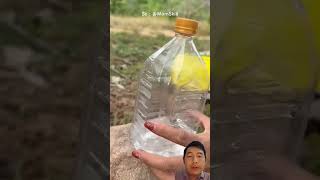 Survival Skill Make hand sanitizer with water bottle survival camping jungle [upl. by Antsirhc]