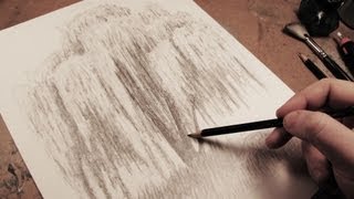 How to Draw a Weeping Willow Tree [upl. by Kenyon]