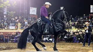 ⭐️CABALLOS BAILADORES EN LA FERIA 🎡 GANADERA DE CULIACÁN p1 [upl. by Elurd]