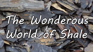 The Wonderous World of Shale [upl. by Avelin]